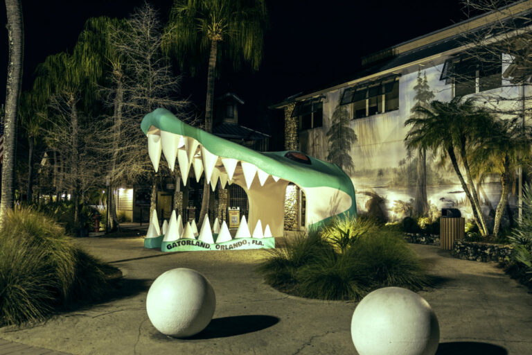 Orlando Outdoor Lighting Gatorland 41